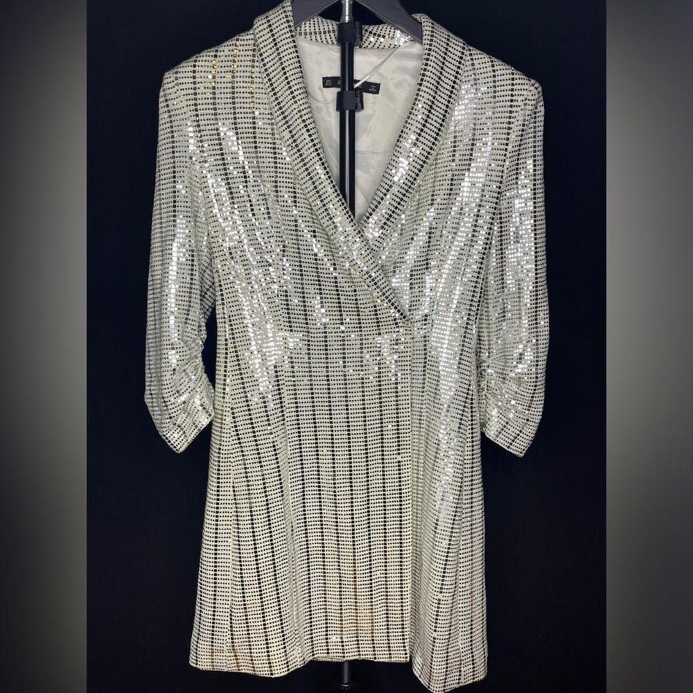 Zara Women's Silver Dress
